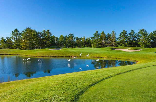 Charlevoix Country Club - photo 3