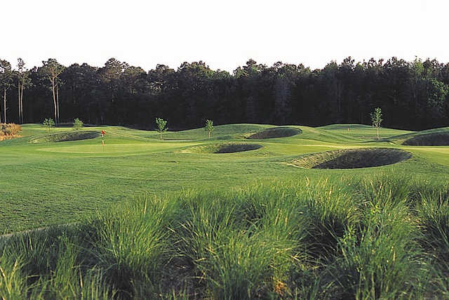 Wicked Stick Golf Links - photo 3