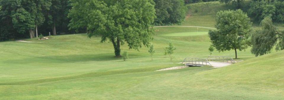 Forest Park Golf Course - photo 4