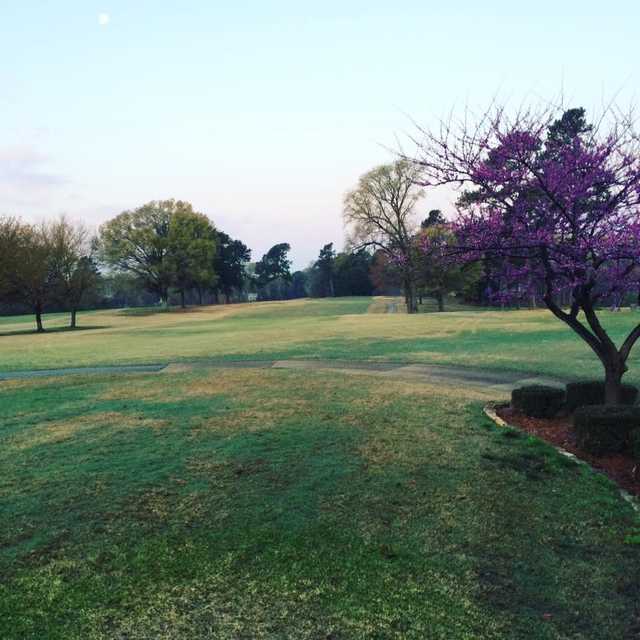 Jackson Golf & Country Club