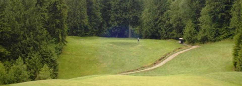 Eighteen Pastures Golf Course - photo 3