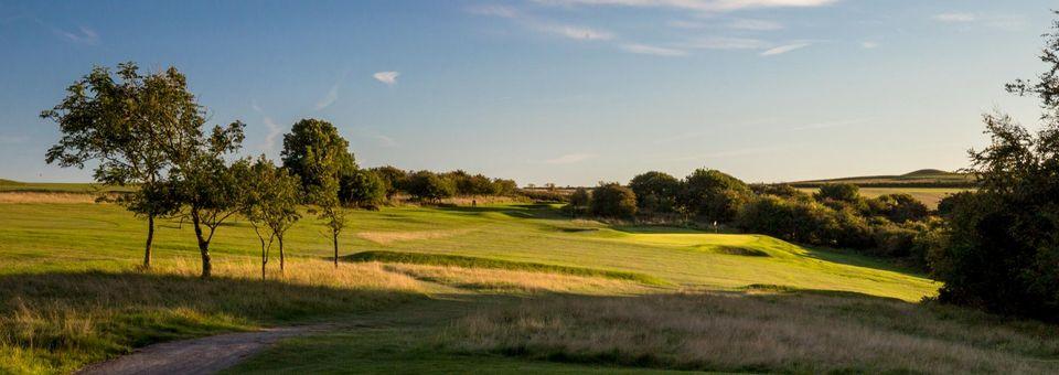 Came Down Golf Club - photo 8