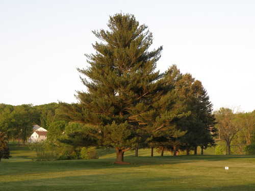 Limekiln Golf Club - photo 3