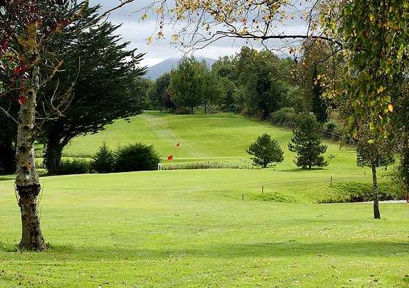 Ballykisteen Golf Club - photo 3