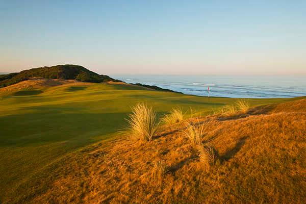Bandon Dunes Golf Resort - Old Macdonald - photo 8