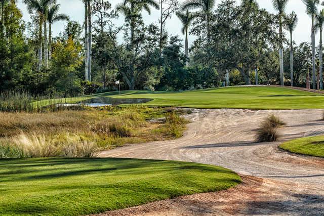 Tiburon Golf Club - Gold Course - photo 3