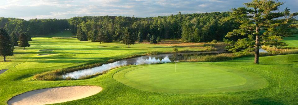 The Alpine at Boyne Mountain Resort (BOYNE) - photo 6
