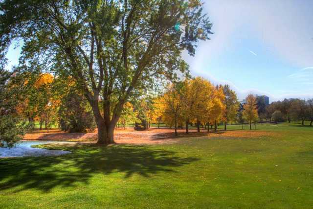 Albion Country Club - photo 2