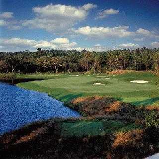 The Palencia Club - photo 4