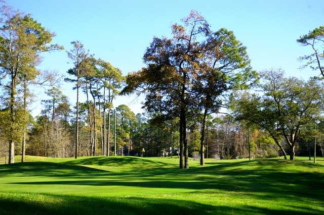 Tupelo Bay Golf Complex - Executive Course - photo 1