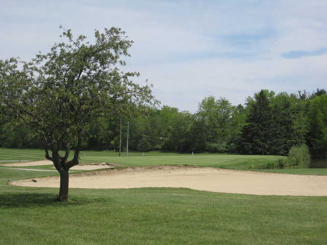 Hickory Hills - photo 4
