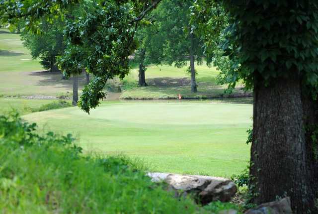 Burns Park Golf Course - photo 6