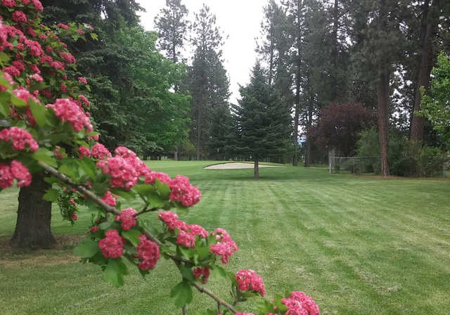 Coeur d' Alene Public Golf Club - photo 2