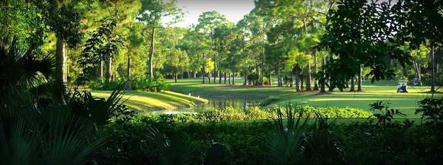 Palmetto-Pine Country Club - photo 3