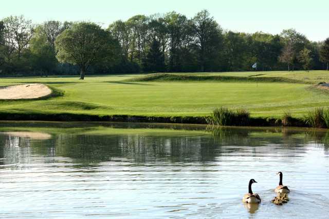 Gatton Manor Hotel & Golf Club - photo 6