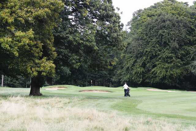 Weston Park - photo 5