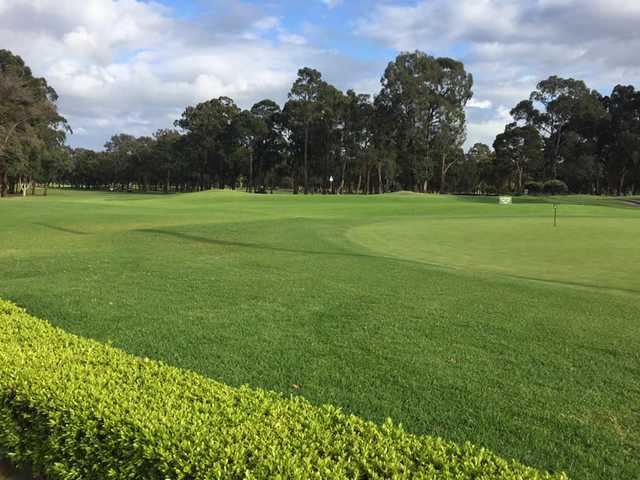 Bankstown Golf Club - photo 8