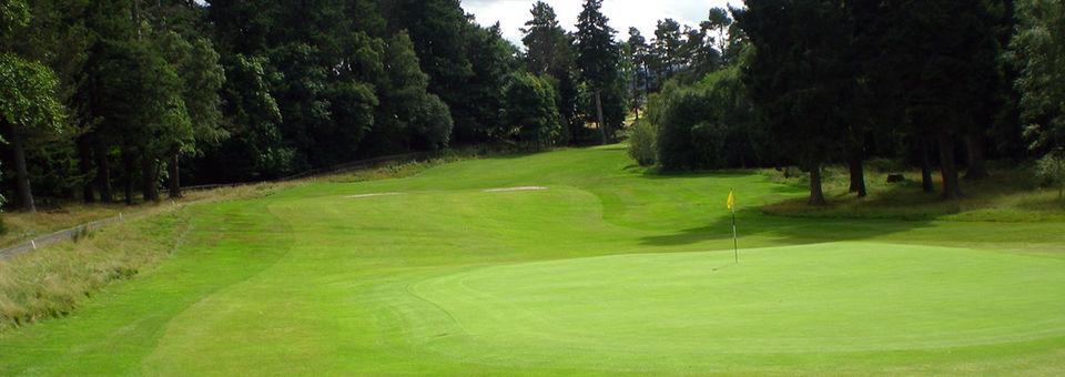 Tarland Golf Club - photo 5