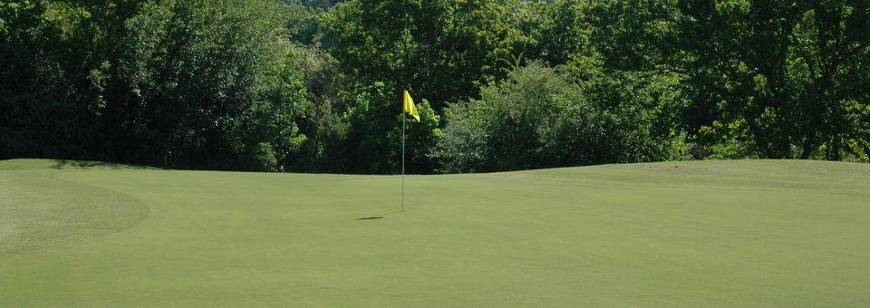 Oxbow Creek Golf Course - photo 4