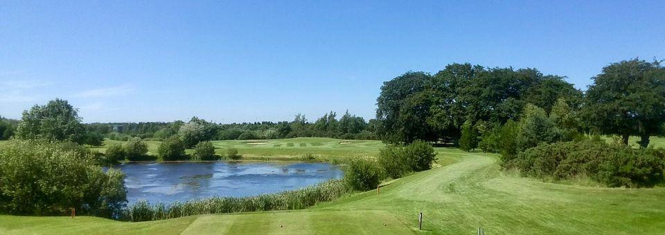 Allen Park Golf Club - photo 8