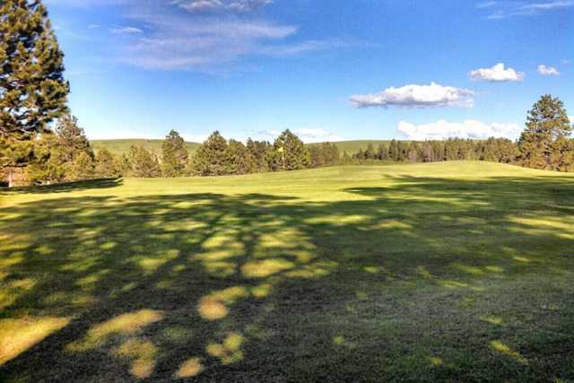 Pine Meadows Golf Course - photo 2