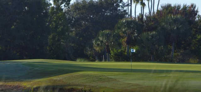 Shadow Wood Preserve - photo 3