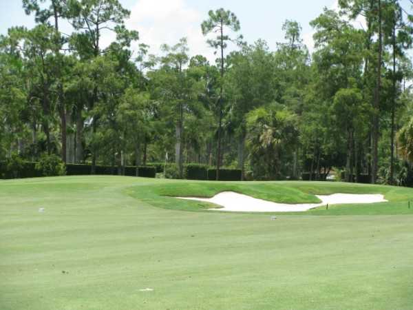 Binks Forest - photo 5