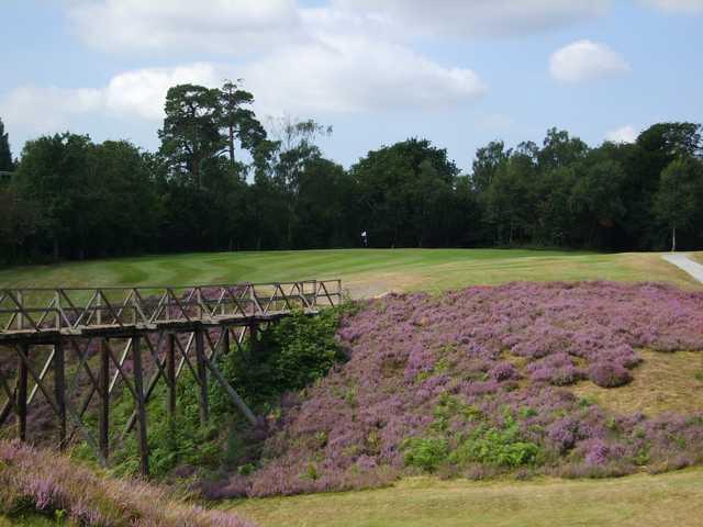 The Addington Golf Club - photo 4