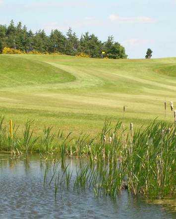 Forrester Park Resort - photo 4