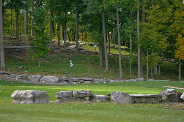 Black Bear Ridge Golf Course - Magee Championship - photo 3