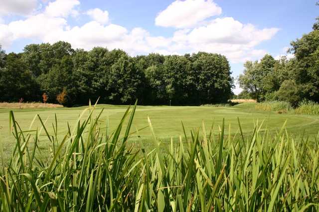 Theale Golf Club - photo 8