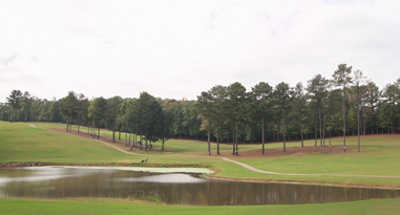 Little Mountain Golf Course - photo 2