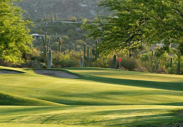 Desert Forest Golf Club - photo 5