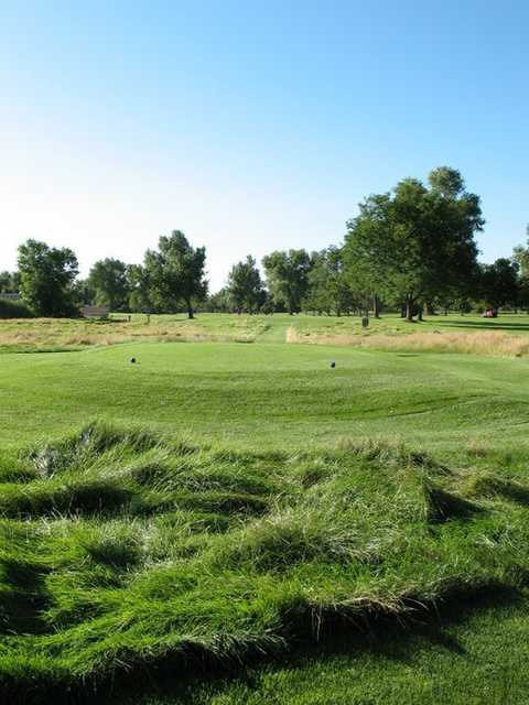 AllGolf At Overland - photo 5
