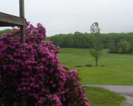 Kings Mountain Golf Course - photo 1