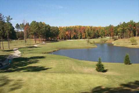 Ford's Colony Country Club - Blue Heron - photo 5