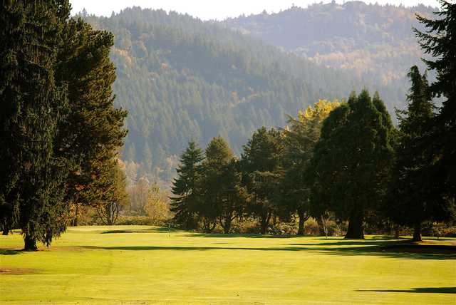 Emerald Valley Golf Course - photo 2