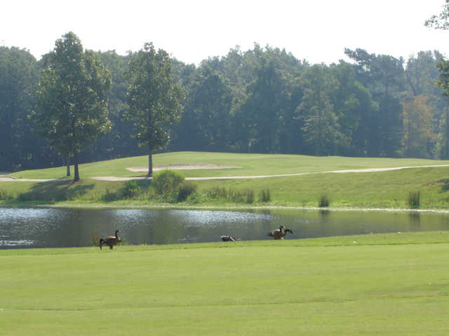 Country Club of Arkansas - photo 3