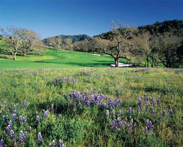 The Preserve Golf Club - photo 5