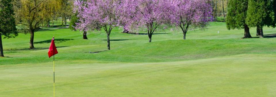 Miami Springs Golf & Country Club - photo 8