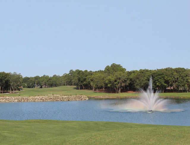 Timber Pines Golf Course - photo 6