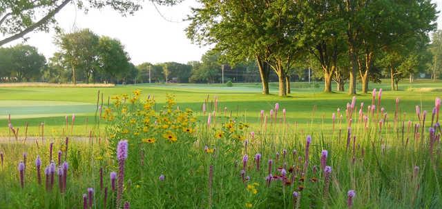 Coyote Run Golf Course (IL) - photo 3