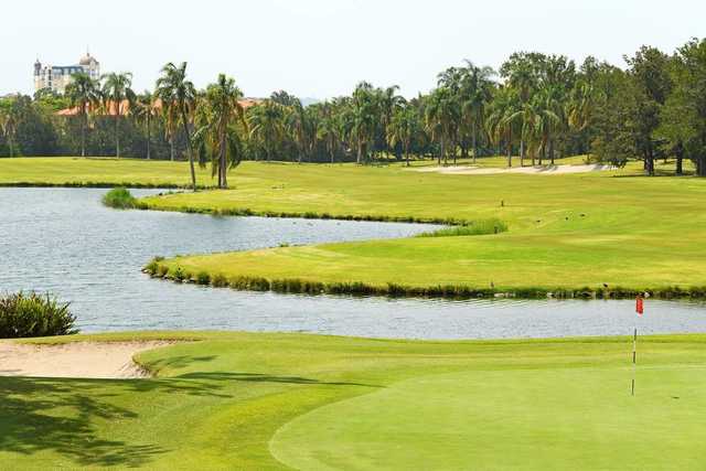 Palm Meadows Golf Course - photo 3