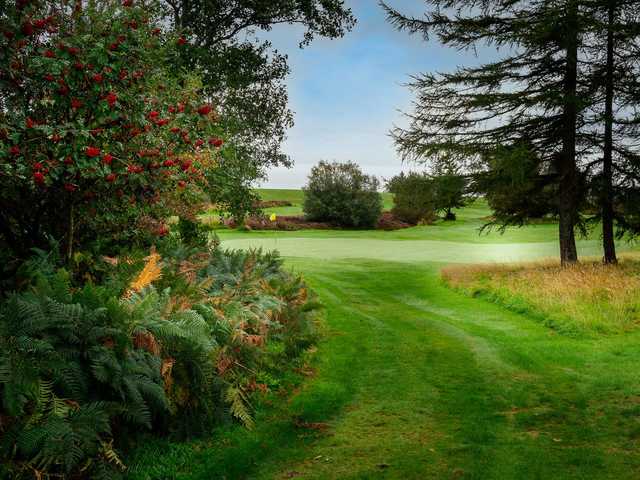 Whiting Bay Golf Club - photo 3