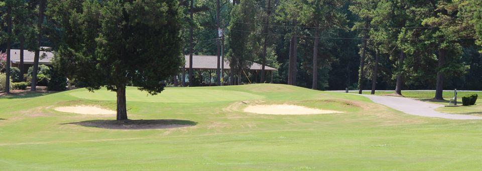 Twin Oaks Golf Club - photo 3