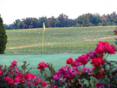 Windridge Country Club - photo 3