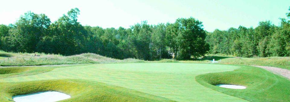 Wooden Sticks Golf Club - photo 4