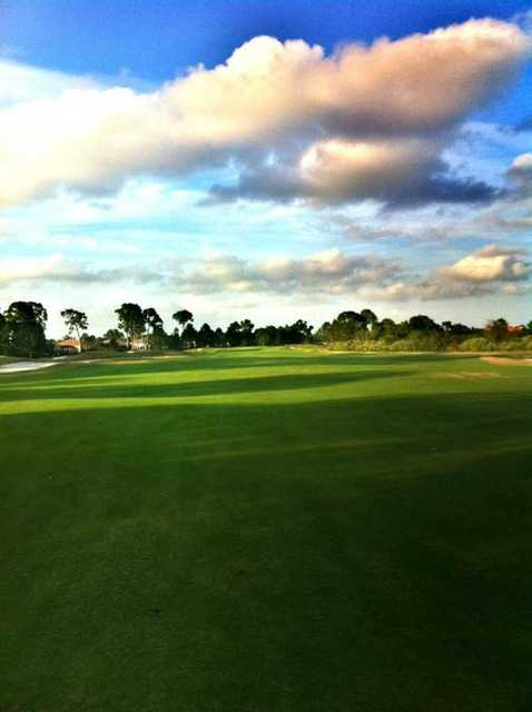 Dye Course