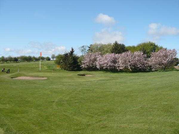 Alnmouth Golf Club - photo 6