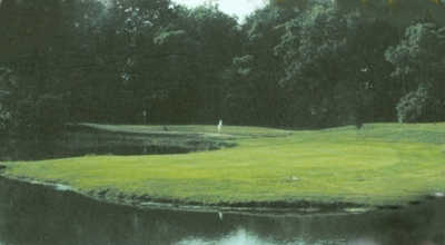 Tameka Woods Golf Club - photo 2